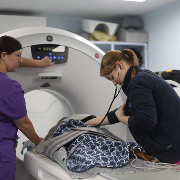 CT Scanning